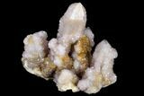 Cactus Quartz (Amethyst) Cluster - South Africa #115128-2